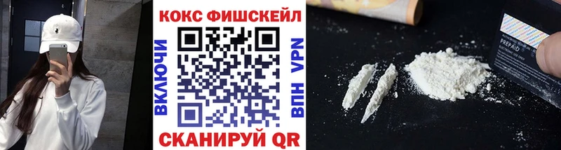 Купить закладки  Себеж  Кокаин Fish Scale 