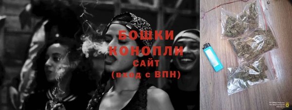 ГАЛЛЮЦИНОГЕННЫЕ ГРИБЫ Белоозёрский