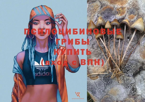 кокаин колумбия Белокуриха