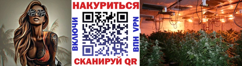 Купить  Себеж  Каннабис AK-47 
